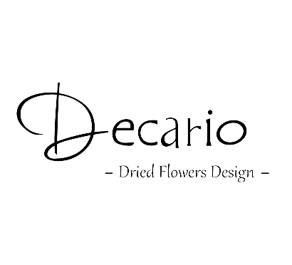 Decario UG | Logodesign | Grafikdesign | Printdesign